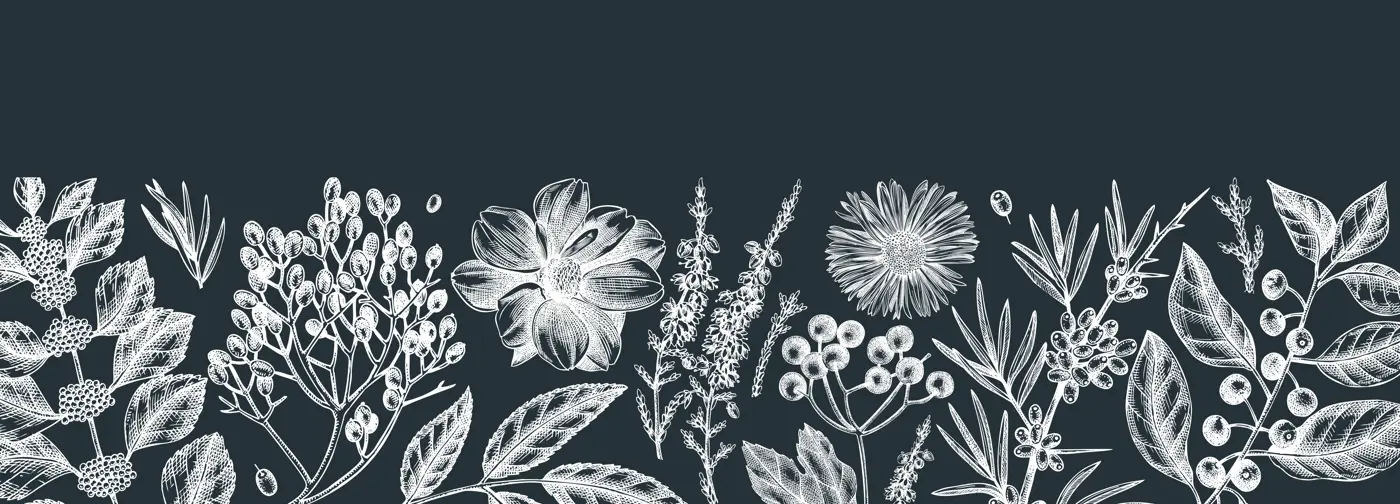 Hand sketched autumn banner on chalkboard. Fall leaves background and botanical sketch art. Vintage cover design with autumn leaves, berries, flowers, birds. Floral art for wall decoration and print Illustration